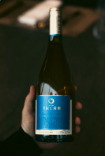 Vinho Branco Anima Thera Chardonnay 750ml - Imagem 2